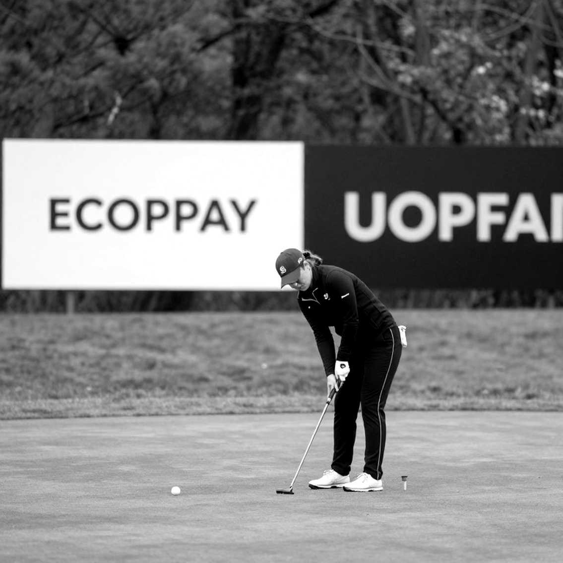 PAYNTR Ember: Bộ sưu tập giày golf mới và khoảng trống dữ liệu hiếm thấy