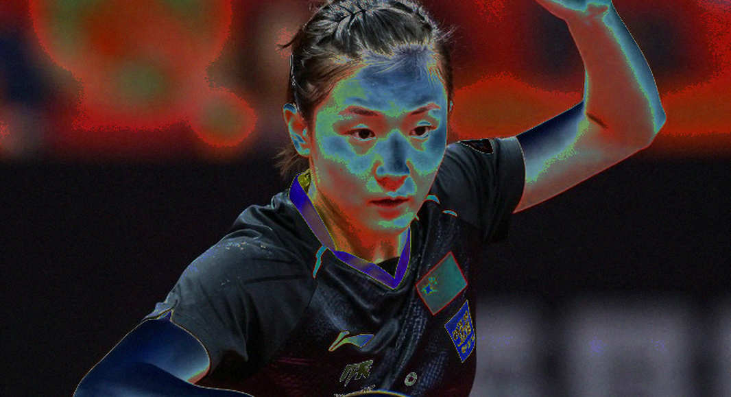 US Open bóng bàn 2026: 118 hạng mục, hạn chót 1/12 và tấm thẻ thành viên quyết định cuộc chơi US Open bóng bàn 2026: 118 hạng mục, hạn chót 1/12 và tấm thẻ thành viên quyết định cuộc chơi