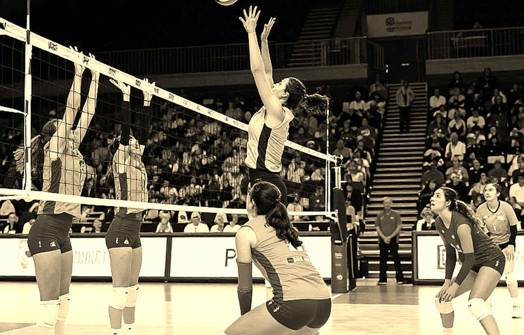 Rio mở màn chu kỳ Nam Mỹ: Brazil giữ đỉnh FIVB, Argentina và Colombia chờ khoảng trống
