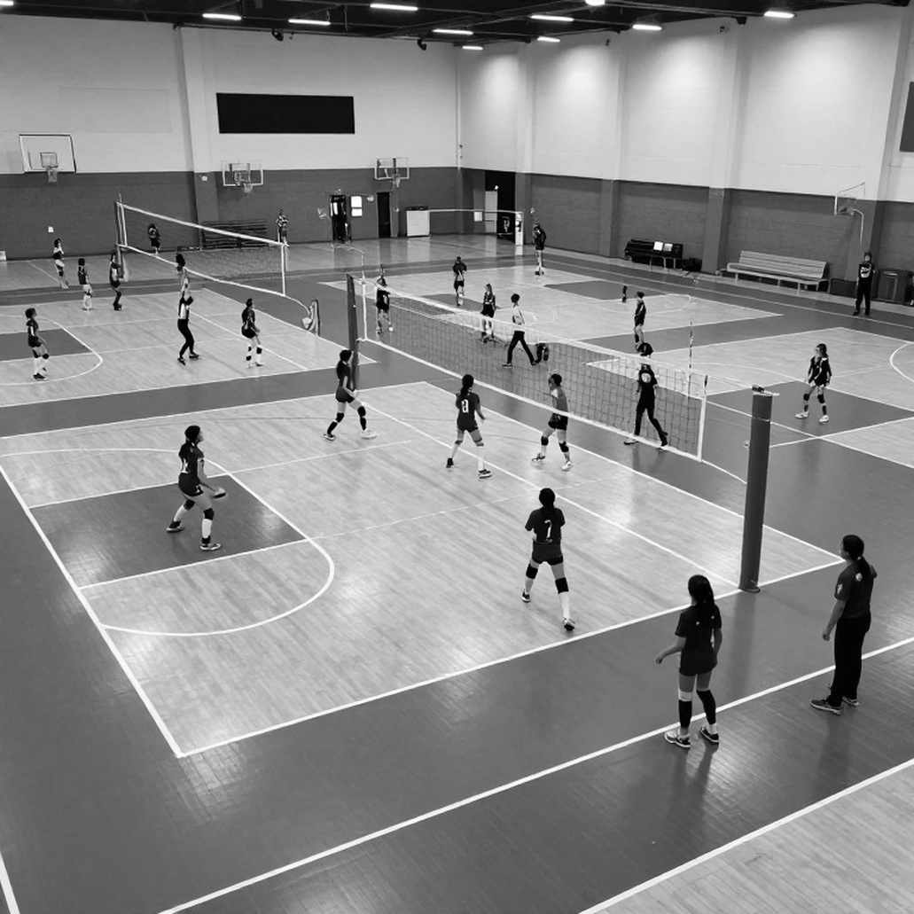 Nhật Bản và bài toán thống trị: Giải vô địch bóng chuyền châu Á 2026 mở ra cuộc đua giành vé dự Olympic LA 2028