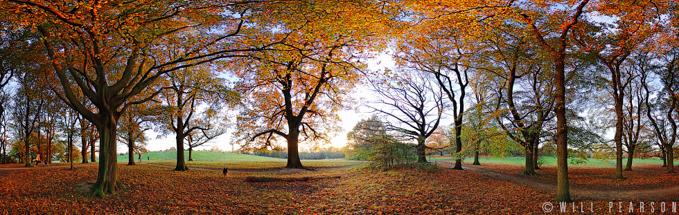 Hampstead Heath, London