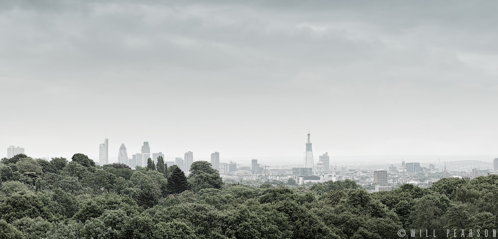 Scene from the Heath