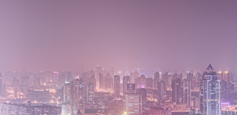 Shanghai Skyline Crop