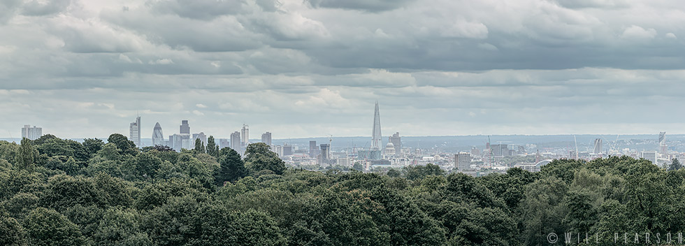 hampstead-heath-2012-crop-001