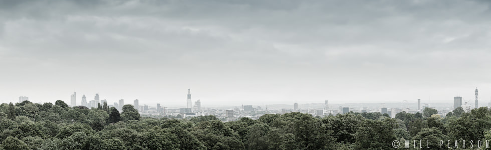 Scene from the Heath, 2010