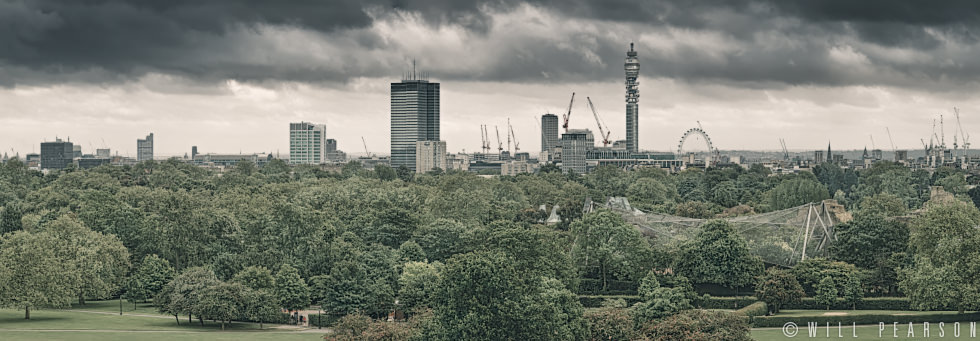 Primrose Hill Crop